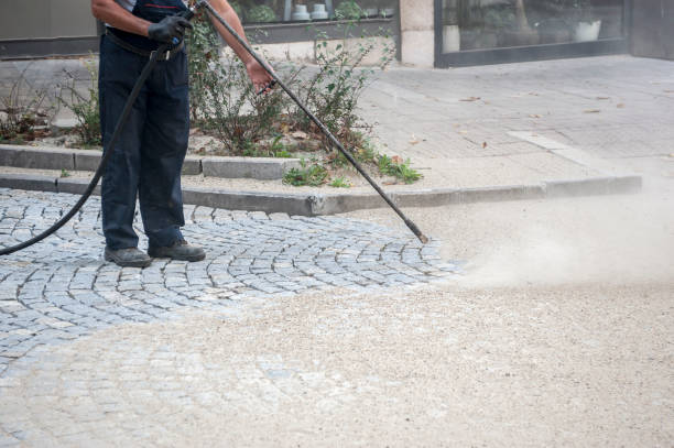 Best Roof Washing  in Egon City, OR